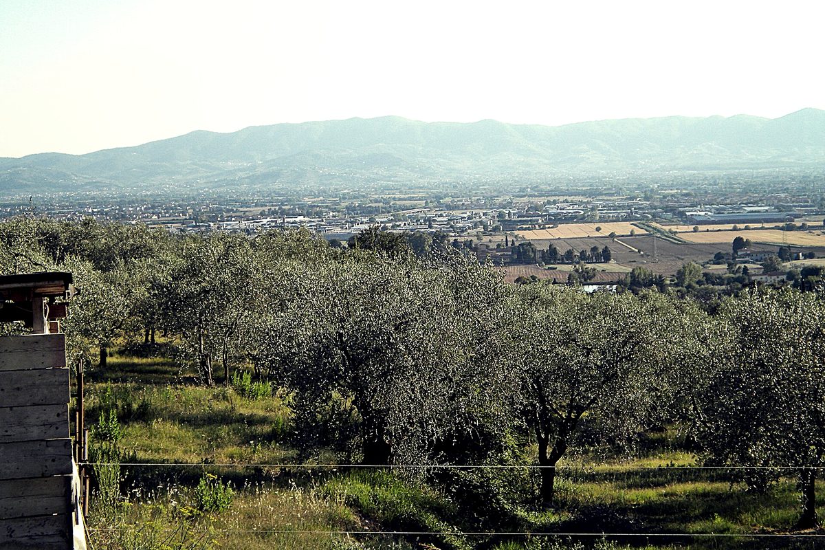 Veduta di Montemurlo